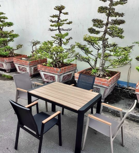 Bộ bàn ghế mẫu 15